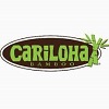 Cariloha Coupons & Promo Code For 2024 coupons